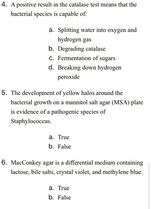 micro bio lab - sg catalase test questions flashcards... SOLVED: Apositive result in the catalase test means that the bacterial ...
