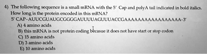 SOLVED: The following sequence is a small mRNA with the 5' Cap and ...