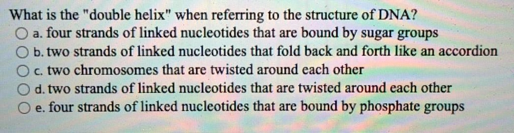 What is the "double helix" when referring to the structure of DNA?
a. four strands of linked nucleotides that are bound by sugar groups
b. two strands of linked nucleotides that fold back and forth like an accordion
c. two chromosomes that are twisted around each other
d. two strands of linked nucleotides that are twisted around each other
e. four strands of linked nucleotides that are bound by phosphate groups
