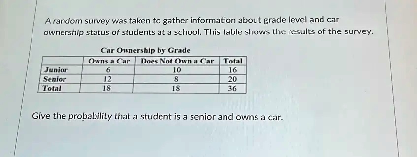Beautiful Petra Has Done A Survey Of Car Ownership View in 4K Beautiful Petra Has Done A Survey Of Car Ownership View in 4K