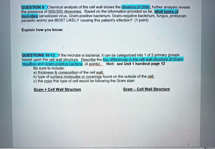 QUESTION 9 Chemical analysis of the cell wall shows the absence of chitin; further analysis reveals the presence of 50S/30S ribosomes. Based on the information provided so far, what types of microbes (enveloped virus, Gram-positive bacterium, Gram-negative bacterium, fungus, protozoan, parasitic worm) are MOST LIKELY causing this patient's infection? (1 point)

Explain how you know:

QUESTIONS 10-13: If the microbe is bacterial, it can be categorized into 1 of 2 primary groups based upon the cell wall structure. Describe the key differences in the cell wall structure of Gram-negative and Gram-positive bacteria. (4 points) Hint: see Unit 1 handout page 12
Be sure to include:
a) thickness     composition of the cell wall;
b) type of surface molecules or coverings found on the outside of the cell;
c) the color this type of cell would be following the Gram stain

Gram + Cell Wall Structure
Gram - Cell Wall Structure