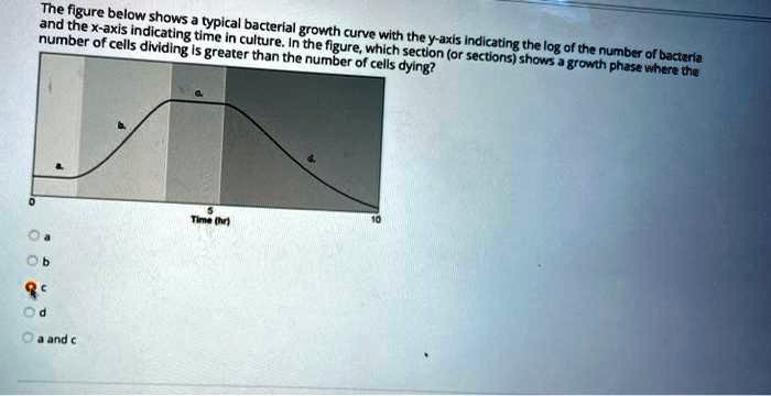 The figure below shows a typical bacterial growth curve with the y-axis ...