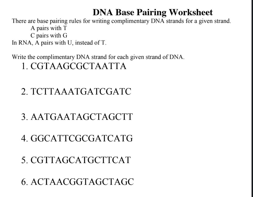 Solved Dna Base Pairing Worksheet There Are Base Pairing Rules For