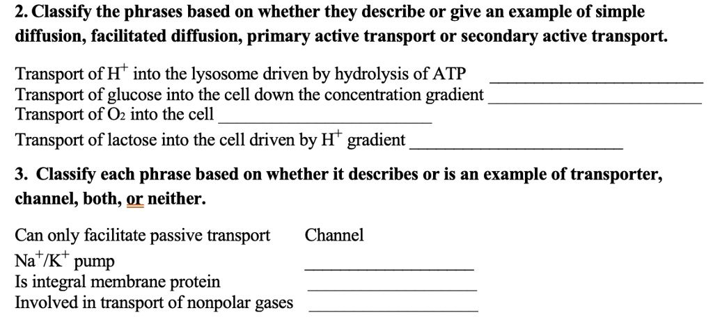 2. Classify the phrases based on whether they describe or give an example of simple
diffusion, facilitated diffusion, primary active transport or secondary active transport.

Transport of H+ into the lysosome driven by hydrolysis of ATP
Transport of glucose into the cell down the concentration gradient
Transport of O2 into the cell
Transport of lactose into the cell driven by H+ gradient

3. Classify each phrase based on whether it describes or is an example of transporter,
channel, both, or neither.

Can only facilitate passive transport Channel
Na+/K+ pump
Is integral membrane protein
Involved in transport of nonpolar gases