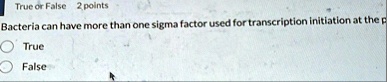 true or false 2 points bacteria can have more than one sigma factor used for transcription initiation at the p true false 19039