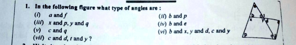 1. In the following figure what type of angles are:
(i) a and f
(iii) x and p, y and q
(v) c and q
(vii) c and d, r and y?
(ii) b and p
(iv) b and e
(vi) b and x, y and d, c and y