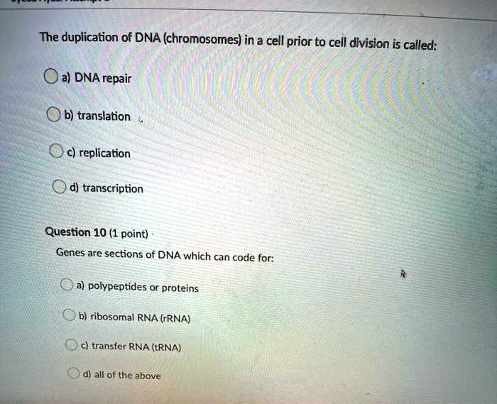 The duplication of DNA (chromosomes) in a cell prior to cell division is called:
a) DNA repair
b) translation
c) replication
d) transcription
Question 10 (1 point).
Genes are sections of DNA which can code for:
a) polypeptides or proteins
b) ribosomal RNA (rRNA)
c) transfer RNA (tRNA)
d) all of the above