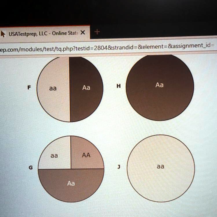 Albinism is an autosomal recessive condition. Which circle graph above shows the genotype