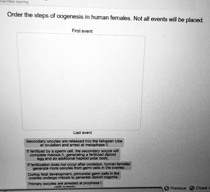 Order the steps of oogenesis in human females. Not all events will be placed.

First event

Last event

Secondary oocytes are released into the fallopian tube at ovulation and arrest at metaphase II.

If fertilized by a sperm cell, the secondary oocyte will complete meiosis II, generating a fertilized diploid egg and an additional haploid polar body.

If fertilization does not occur after ovulation, human females generate more oocytes from germ cells in the ovaries.

During fetal development, primordial germ cells in the ovaries undergo mitosis to generate diploid oogonia.

Primary oocytes are arrested at prophase I until puberty.
