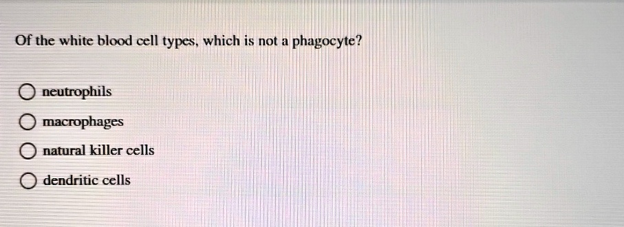 Which Of The Following Is Not A Phagocytic Cell of the white blood cell types which is not a phagocyte neutrophils