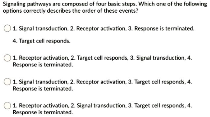Signaling pathways are composed of four basic steps. Which one of the following options correctly describes the order of these events?
1. Signal transduction, 2. Receptor activation, 3. Response is terminated.
4. Target cell responds.
1. Receptor activation, 2. Target cell responds, 3. Signal transduction, 4. Response is terminated.
1. Signal transduction, 2. Receptor activation, 3. Target cell responds, 4. Response is terminated.
1. Receptor activation, 2. Signal transduction, 3. Target cell responds, 4. Response is terminated.