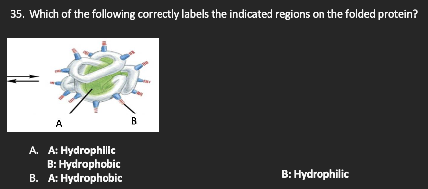 SOLVED: 35. Which Of The Following Correctly Labels The Indicated ...