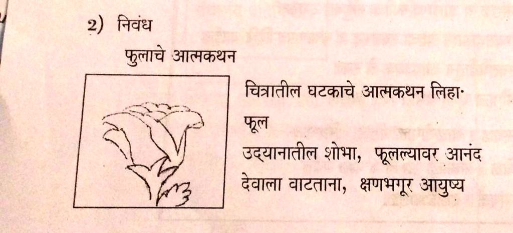 plzz give this answer as fast as possible nibhand 58137