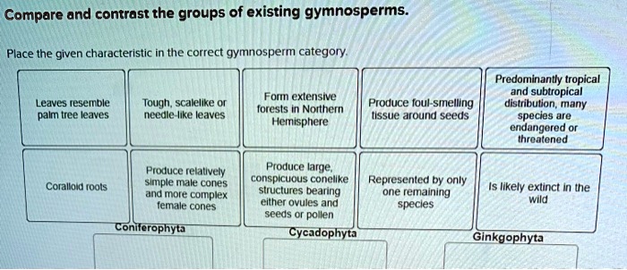 Compare and contrast the groups of existing gymnosperms.
Place the given characteristic in the correct gymnosperm category.
Leaves resemble palm tree leaves
Tough, scalelike or needle-like leaves
Form extensive forests in Northern Hemisphere
Produce foul-smelling tissue around seeds
Predominantly tropical and subtropical distribution, many species are endangered or threatened
Coralloid roots
Produce relatively simple male cones and more complex female cones
Produce large, conspicuous conelike structures bearing either ovules and seeds or pollen
Represented by only one remaining species
Is likely extinct in the wild
Coniferophyta
Cycadophyta
Ginkgophyta