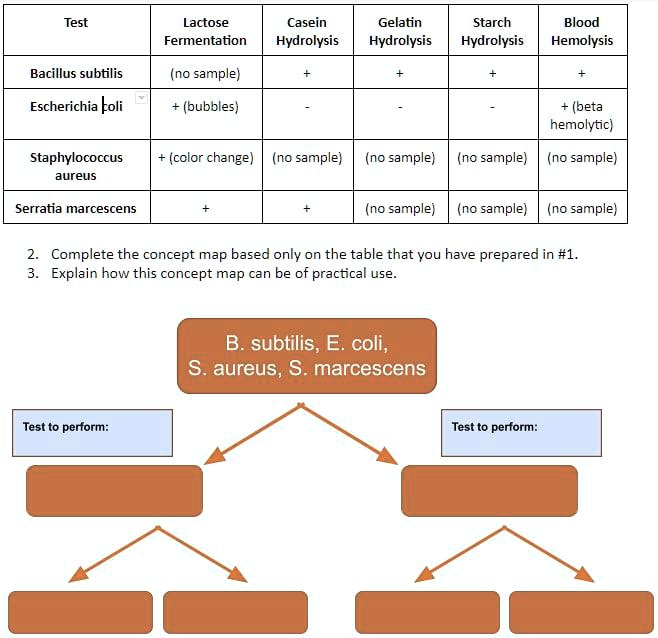SOLVED Lactose Casein Hydrolysis Gelatin Hydrolysis Starch Hydrolysis