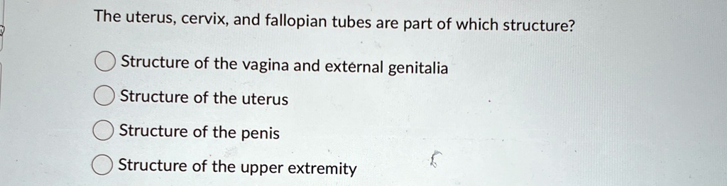 the uterus cervix and fallopian tubes are part of which structure ...