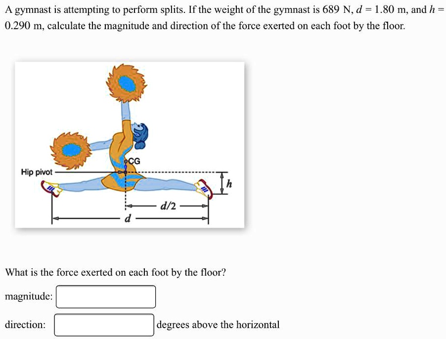 Split Force Calculation Example SOLVED: A gymnast is attempting to perform splits If the weight of the ...