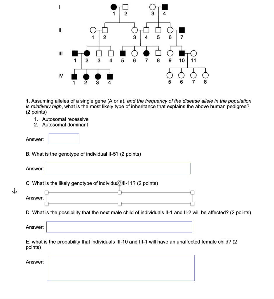 SOLVED:1. Assuming alleles of a single gene (A or a), and the frequency ...