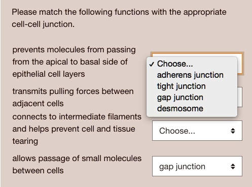 SOLVED: Please match the following functions with the appropriate cell ...