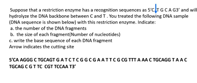 SOLVED: Suppose that a restriction enzyme has recognition sequences as ...