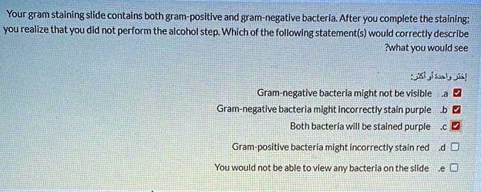 SOLVED: Your gram staining slide contains both gram-positive and gram ...