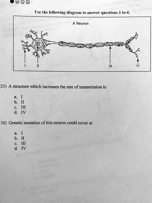 Solved Use The Following Diagram To Nswer Questions 04 A Neuron 25