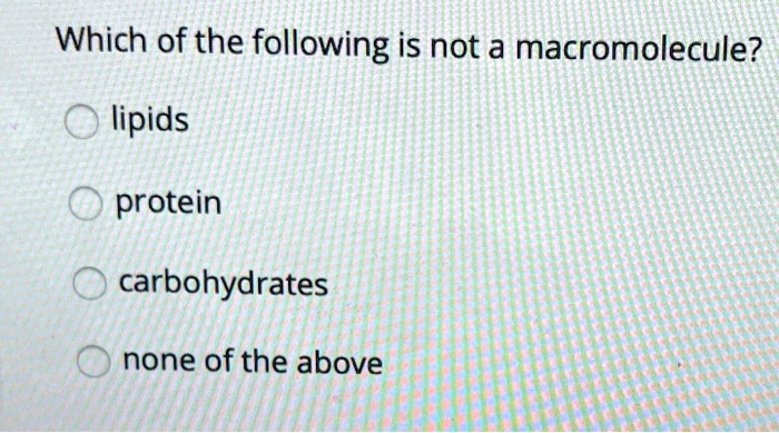 Which of the following is not a macromolecule?
lipids
protein
carbohydrates
none of the above