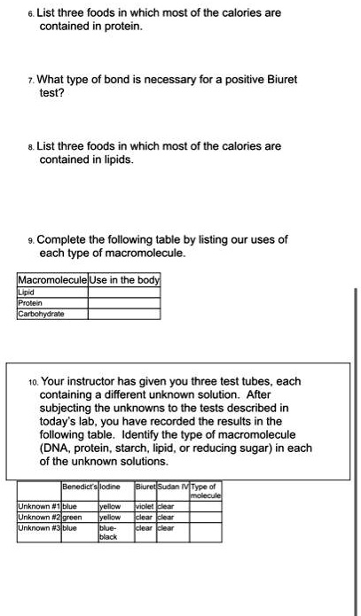 6. List three foods in which most of the calories are contained in protein.

7. What type of bond is necessary for a positive Biuret test?

8. List three foods in which most of the calories are contained in lipids.

9. Complete the following table by listing our uses of each type of macromolecule.

| Macromolecule | Use in the body |
| :— | :— |
| Lipid | |
| Protein | |
| Carbohydrate | |

10. Your instructor has given you three test tubes, each containing a different unknown solution. After subjecting the unknowns to the tests described in today's lab, you have recorded the results in the following table. Identify the type of macromolecule (DNA, protein, starch, lipid, or reducing sugar) in each of the unknown solutions.

| | Benedict's | Iodine | Biuret | Sudan IV | Type of molecule |
| :— | :— | :— | :— | :— | :— |
| Unknown #1 | blue | yellow | violet | clear | |
| Unknown #2 | green | yellow | clear | clear | |
| Unknown #3 | blue | blue-black | clear | clear | |