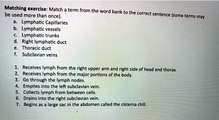 Matching exercise: Match a term from the word bank to the correct sentence (some terms may be used more than once).
a. Lymphatic Capillaries
b. Lymphatic vessels
c. Lymphatic trunks
d. Right lymphatic duct
e. Thoracic duct
f. Subclavian veins

1. Receives lymph from the right upper arm and right side of head and thorax.
2. Receives lymph from the major portions of the body.
3. Go through the lymph nodes.
4. Empties into the left subclavian vein.
5. Collects lymph from between cells.
6. Drains into the right subclavian vein.
7. Begins as a large sac in the abdomen called the cisterna chili.