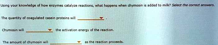 Using your knowledge of how enzymes catalyze reactions, what happens when chymosin is added to milk? Select the correct answers.

The quantity of coagulated casein proteins will  .

Chymosin will  the activation energy of the reaction.

The amount of chymosin will  as the reaction proceeds.