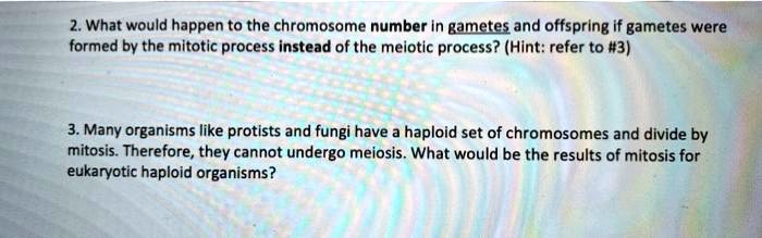 2. What would happen to the chromosome number in gametes and offspring if gametes were formed by the mitotic process instead of the meiotic process? (Hint: refer to #3)
3. Many organisms like protists and fungi have a haploid set of chromosomes and divide by mitosis. Therefore, they cannot undergo meiosis. What would be the results of mitosis for eukaryotic haploid organisms?
