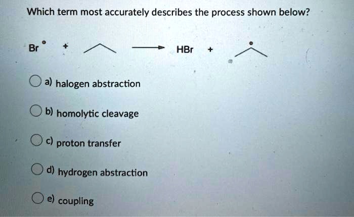 which-term-most-accurately-describes-the-process-show-solvedlib