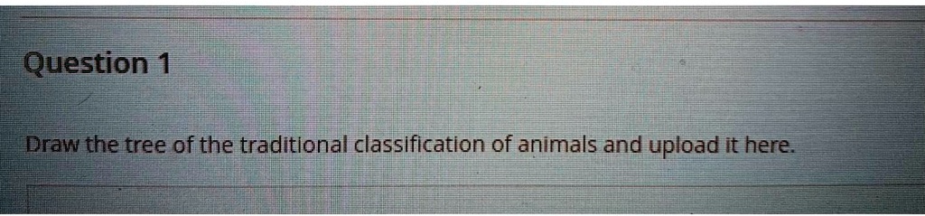 Question 1 Draw the tree of the traditional classification of animals ...