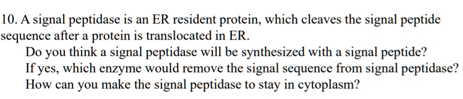 10. A signal peptidase is an ER resident protein, which cleaves the signal peptide
sequence after a protein is translocated in ER.
Do you think a signal peptidase will be synthesized with a signal peptide?
If yes, which enzyme would remove the signal sequence from signal peptidase?
How can you make the signal peptidase to stay in cytoplasm?