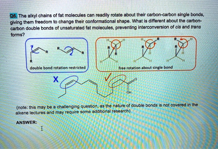 08 the alkyl chains of fat molecules can readily rotate about their ...
