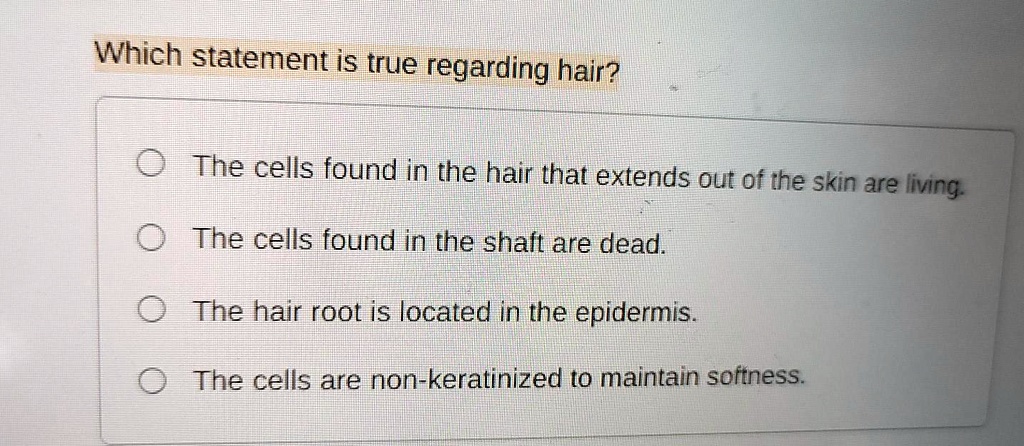 Which statement is true regarding hair?
The cells found in the hair that extends out of the skin are living.
The cells found in the shaft are dead.
The hair root is located in the epidermis.
The cells are non-keratinized to maintain softness.