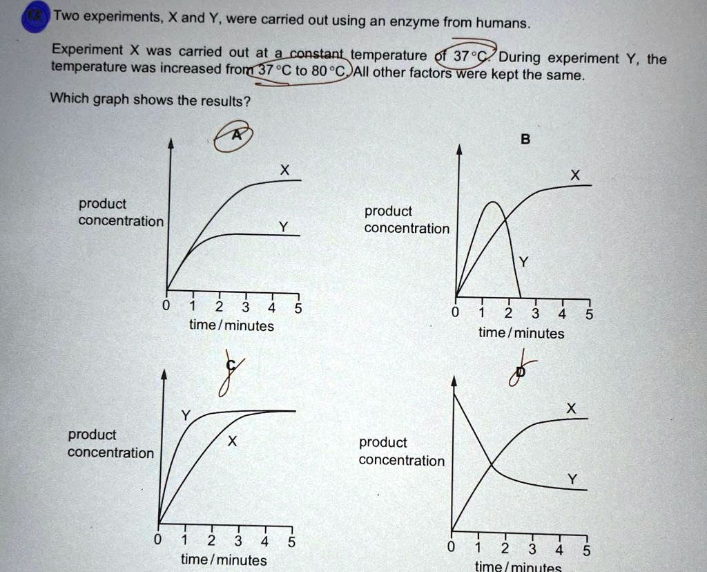 SOLVED Temperature higher than 37 degrees means the enzymes will