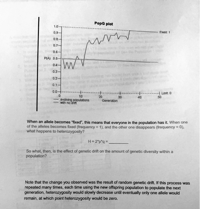 PopG plot

1.0 - Fixed: 1
0.9 -
0.8 -
0.7 -
0.6 -
P(A) 0.5 -
0.4 -
0.3 -
0.2 -
0.1 -
0.0 - Lost: 0
0 10 20 30 40 50
- evolving populations
- with no drift
Generation

When an allele becomes "fixed", this means that everyone in the population has it. When one of the alleles becomes fixed (frequency = 1), and the other one disappears (frequency = 0), what happens to heterozygosity?

H = 2*p*q = 

So what, then, is the effect of genetic drift on the amount of genetic diversity within a population?

Note that the change you observed was the result of random genetic drift. If this process was repeated many times, each time using the new offspring population to populate the next generation, heterozygosity would slowly decrease until eventually only one allele would remain, at which point heterozygosity would be zero.