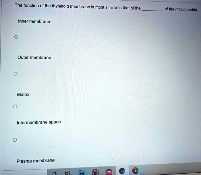 The function of the thylakoid membrane is most similar to that of the  of the mitochondria.

Inner membrane

Outer membrane

Matrix

Intermembrane space

Plasma membrane