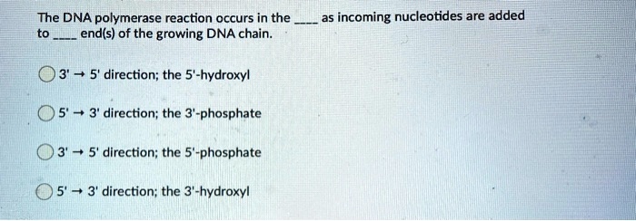 SOLVED: The DNA Polymerase Reaction Occurs In The End(s) Of The Growing ...