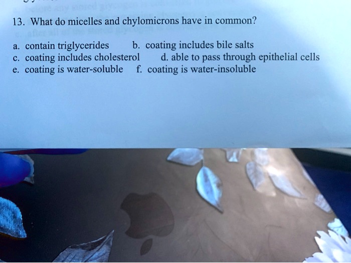 VIDEO solution 13. What do micelles and chylomicrons have in common? a