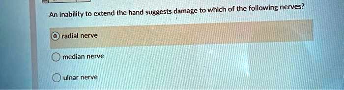 An inability to extend the hand suggests damage to which of the following nerves?
radial nerve
median nerve
ulnar nerve