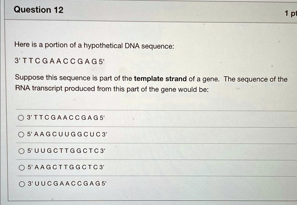 SOLVED: Question 12 Here is a portion of a hypothetical DNA sequence: 3 ...