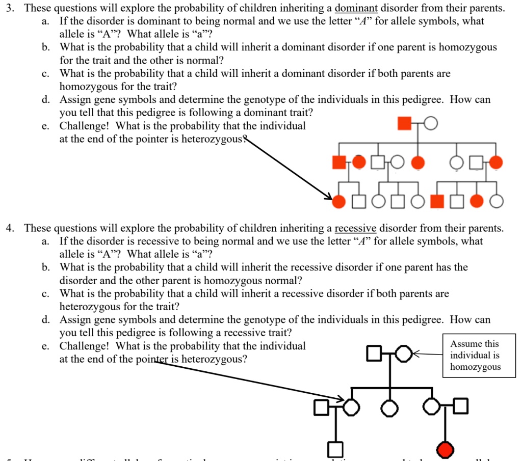 3. These questions will explore the probability of children inheriting a dominant disorder from their parents.
a. If the disorder is dominant to being normal and we use the letter ‘‘A’’ for allele symbols, what allele is ‘‘A’’? What allele is ‘‘a’’?
b. What is the probability that a child will inherit a dominant disorder if one parent is homozygous for the trait and the other is normal?
c. What is the probability that a child will inherit a dominant disorder if both parents are homozygous for the trait?
d. Assign gene symbols and determine the genotype of the individuals in this pedigree. How can you tell that this pedigree is following a dominant trait?
e. Challenge! What is the probability that the individual at the end of the pointer is heterozygous?

4. These questions will explore the probability of children inheriting a recessive disorder from their parents.
a. If the disorder is recessive to being normal and we use the letter ‘‘A’’ for allele symbols, what allele is ‘‘A’’? What allele is ‘‘a’’?
b. What is the probability that a child will inherit the recessive disorder if one parent has the disorder and the other parent is homozygous normal?
c. What is the probability that a child will inherit a recessive disorder if both parents are heterozygous for the trait?
d. Assign gene symbols and determine the genotype of the individuals in this pedigree. How can you tell this pedigree is following a recessive trait?
e. Challenge! What is the probability that the individual at the end of the pointer is heterozygous?
Assume this individual is homozygous.