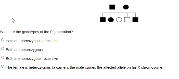 What are the genotypes of the P generation?
Both are homozygous dominant
Both are heterozygous
Both are homozygous recessive
The female is heterozygous (a carrier), the male carries the affected allele on his X chromosome