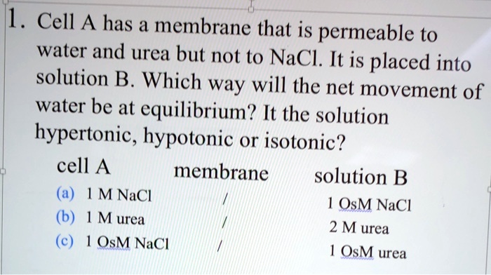 1. Cell A has a membrane that is permeable to water and urea but not to NaCl. It is placed into solution B. Which way will the net movement of water be at equilibrium? It the solution hypertonic, hypotonic or isotonic?

cell A membrane solution B
(a) 1 M NaCl / 1 OsM NaCl
(b) 1 M urea / 2 M urea
(c) 1 OsM NaCl / 1 OsM urea