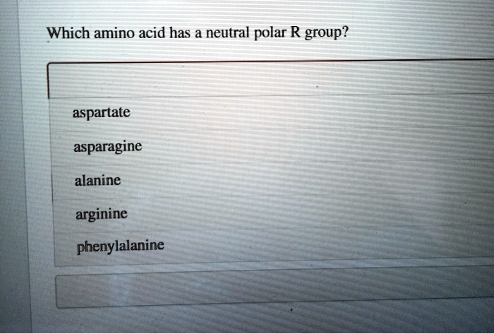 Which amino acid has a neutral polar R group?
aspartate
asparagine
alanine
arginine
phenylalanine