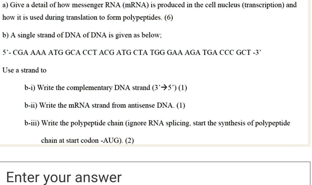 SOLVED: a) Give a detail of how messenger RNA (mRNA) is produced in the ...