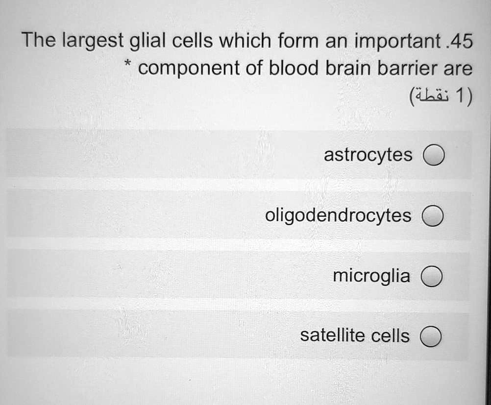 SOLVED: The largest glial cells which form an important .45 component ...