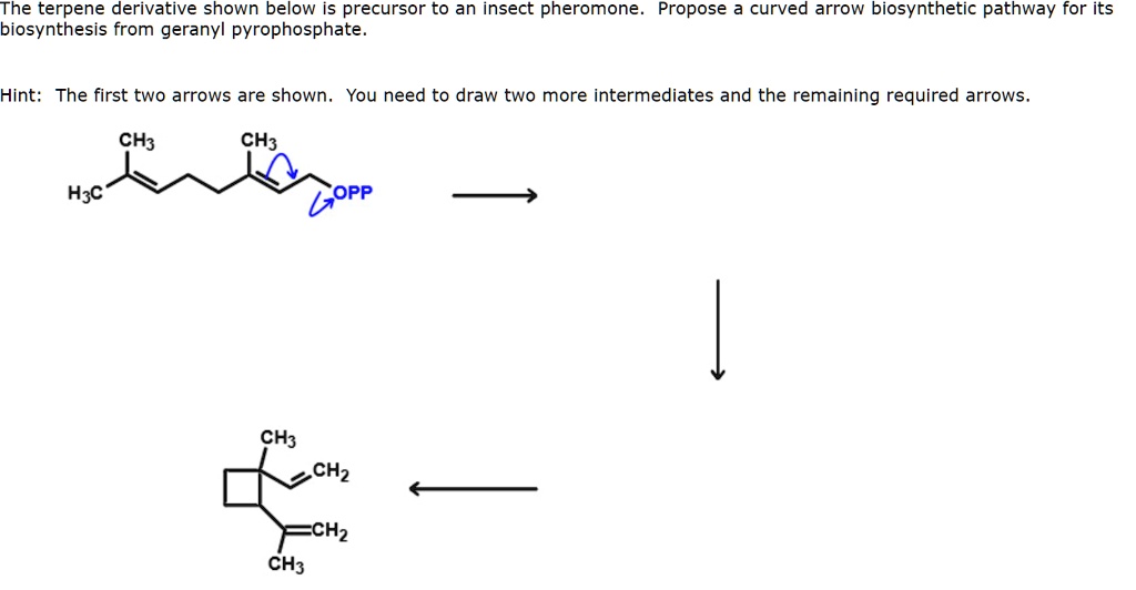 SOLVED:The Terpene Derivative Shown Below Is Precursor To An Insect ...